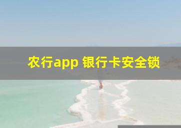 农行app 银行卡安全锁